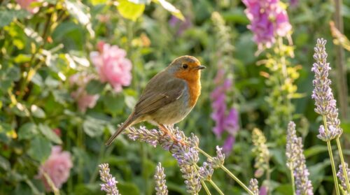 discover the charming orites visiting my garden! learn all about these small, fascinating birds and their unique behaviors.